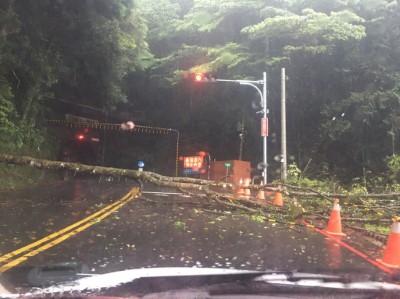 05-5月23日大雪山林道26.5k隧道口發生樹木倒塌  已清理完成